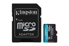 Kingston 256GB MicroSD - Click for more details