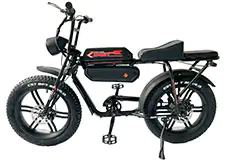 GoTyger 20" Two Seat E-bike, 4.0 Fat Tire w/OPC Wheel 48V 500w