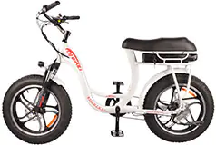 DJ Super Bike Step Thru 20"x 4" Fat Tire 48V 13Ah