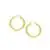 Classic Hoop Earrings in 14k Yellow Gold (30mm Diameter) (4.0mm)