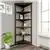 NewRidge Home Goods 5-Tier Corner Wooden Bookcase - Walnut