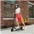Segway Ninebot ES1L Electric Kick Scooter, Lightweight and Foldable