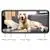 Furbo Dog Camera: Treat Tossing, Full HD Wifi Pet Camera