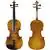 Cecilio CVN-500 Solidwood Ebony Fitted Violin with D'Addario Prelude