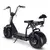 LowRider Electric Scooter 25MPH 60V 1000W