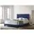 Passion Furniture Suffolk Navy Blue Queen Panel Bed with No Mattress
