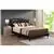 Passion Furniture Deb Cappuccino Queen Panel Bed with No Mattress