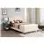 Passion Furniture Beige Adjustable Queen Panel Bed with No Mattress