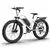 26' Electric Bike with 750W Motor, 48V 13AH Removable Battery, White