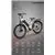 26' Electric Bike with 350w Motor, 36v 10Ah Battery, White