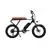 20' Electric Bike with 500W Motor & 48 V Ride Assist & Throttle