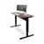 Luxor 48'' Pneumatic Adjustable Height Standing Desk