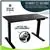 Gsantos 47 Inch Electric Standing Desk Tabletop, Black