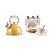 Gsantos TTC156 Best Whistling Teapot With Tea Cup Set