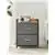 Monster Living Querencia Gray Finish 2-Drawer Chest of Drawers