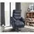 Electric Power Lift Recliner Chair Sofa with Massage and Heat (Gray)