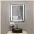 Vyaya Superior 48''W x 36''H Rectangular Frameless Vanity Mirror, Silv