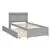 Dreamero Twin Bed with Trundle,Bookcase,Grey
