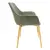LeisureMod Leather Arm Chair With Gold Metal Leg Set of 2, Olive Green