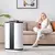 Rona Smart Air Purifier with H13 True HEPA Filter for large rooms up