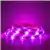 Geeni Prisma Smart LED Strip Lights (5M) - Multicolor