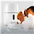 Nexxt Solutions Smart Wi-Fi® Pet Feeder with built-in Camera