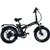 GoTyger 500W 36V 20” 4.0 Fat Tire Foldable eBike - Black