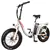 DJ Bikes Folding eBike Step Thru - White