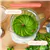 Powerful Countertop Blender System – Multi-Speed, Compact Design