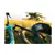 GoPro - HERO13 Black Action Camera Bundle - Black