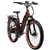 Rad Power Bikes Radster Trail ebike 65 mi / 28 mph - Large - Copper Red