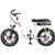 DJ Super Bike Step Thru 20”x 4” Fat Tire 48V 13Ah