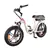 DJ Super Bike Step Thru 20”x 4” Fat Tire 48V 13Ah