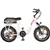 DJ Super Bike Step Thru 20”x 4” Fat Tire 48V 13Ah