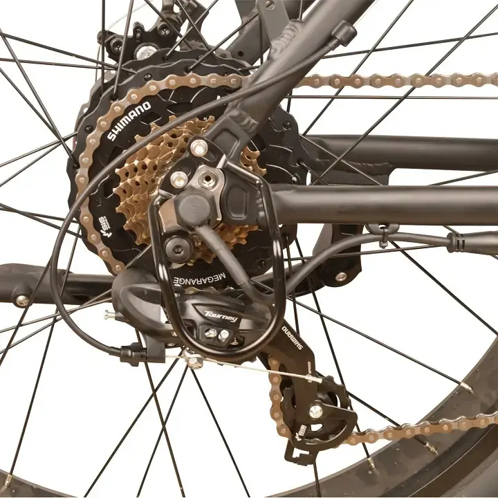 Dj top fat bike