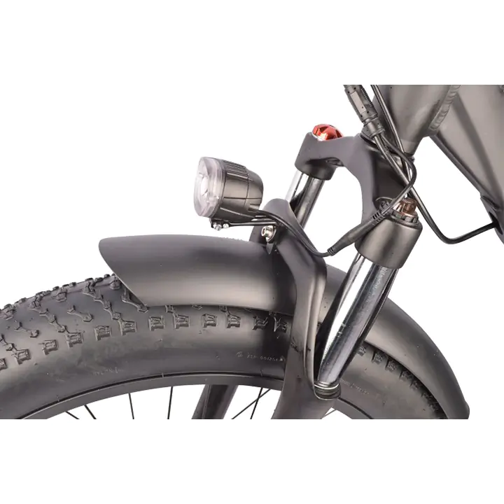 Dj fat bike 500w new arrivals