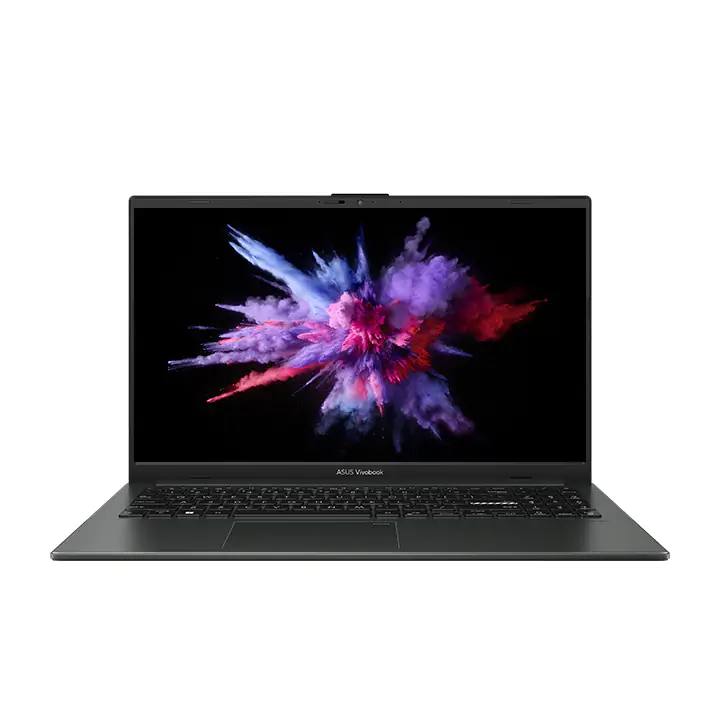 Asus VivoBook GO 15.6" N200 Laptop