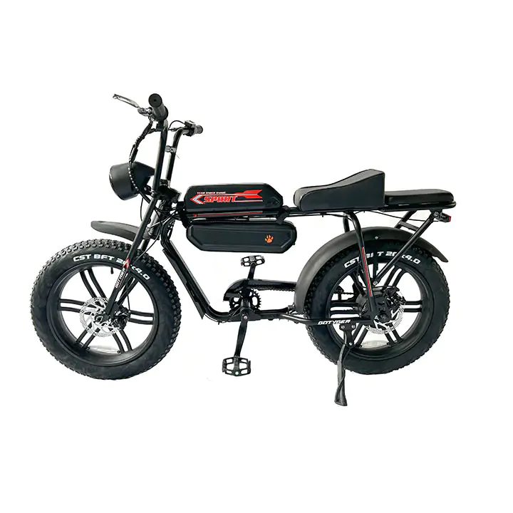GoTyger 20" Two Seat E-bike, 4.0 Fat Tire w/OPC Wheel 48V 500w