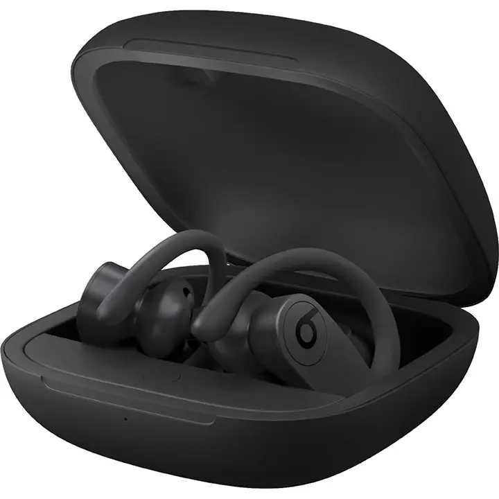 Beats by Dr. Dre Powerbeats Pro Totally Wireless Earphones in Black