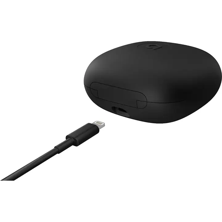 Beats by Dr. Dre Powerbeats Pro Totally Wireless Earphones in Black