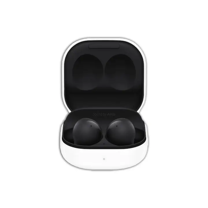 Samsung Graphite Galaxy Buds2 Earbuds